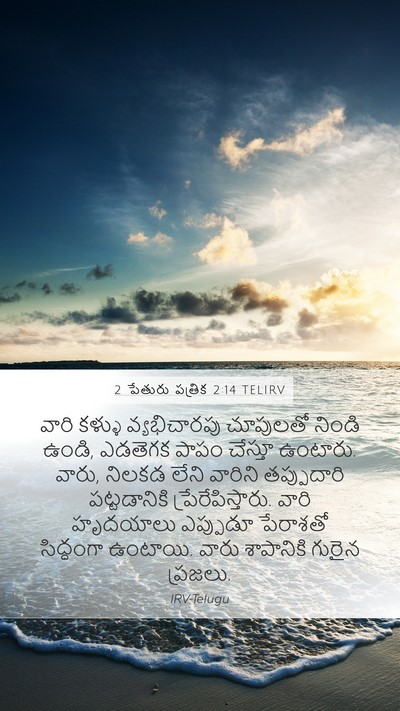 2 పేతురు పత్రిక 2:14 TELIRV Bible Verse Image