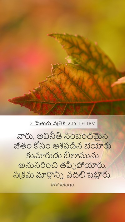 2 పేతురు పత్రిక 2:15 TELIRV Bible Verse Image