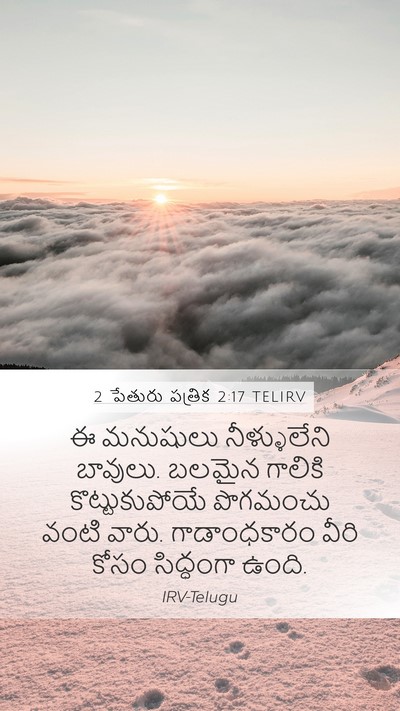 2 పేతురు పత్రిక 2:17 TELIRV Bible Verse Image