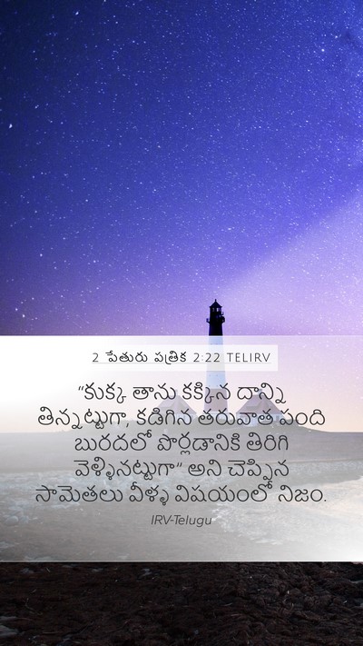 2 పేతురు పత్రిక 2:22 TELIRV Bible Verse Image