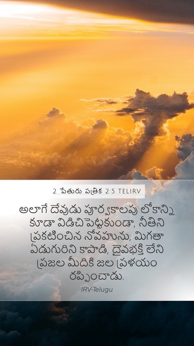 2 పేతురు పత్రిక 2:5 TELIRV Bible Verse Image