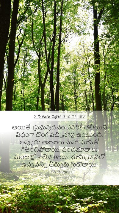 2 పేతురు పత్రిక 3:10 TELIRV Bible Verse Image