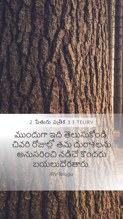 2 పేతురు పత్రిక 3:3 TELIRV Bible Verse Image