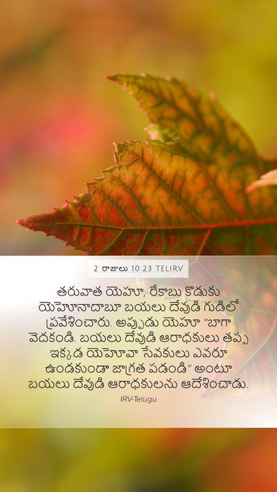 2 రాజులు 10:23 TELIRV Bible Verse Image