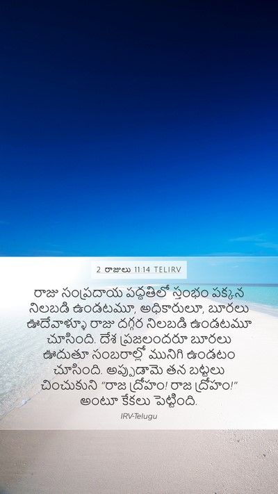 2 రాజులు 11:14 TELIRV Bible Verse Image