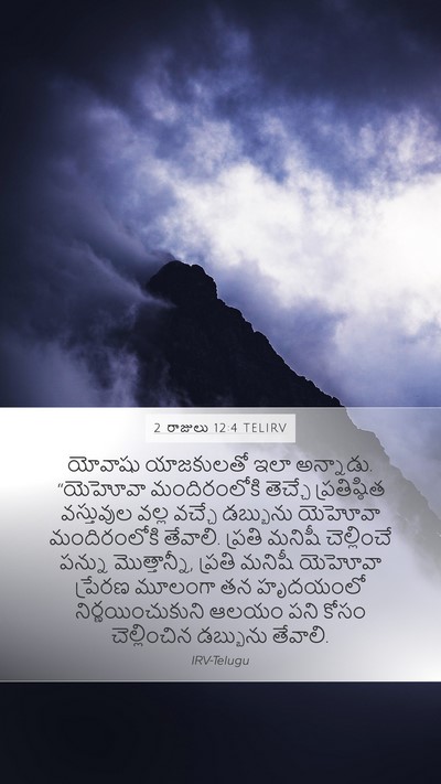 2 రాజులు 12:4 TELIRV Bible Verse Image