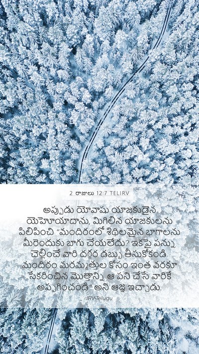 2 రాజులు 12:7 TELIRV Mobile Phone Wallpaper - అప్పుడు యోవాషు - Mobile Bible Verse Wallpaper