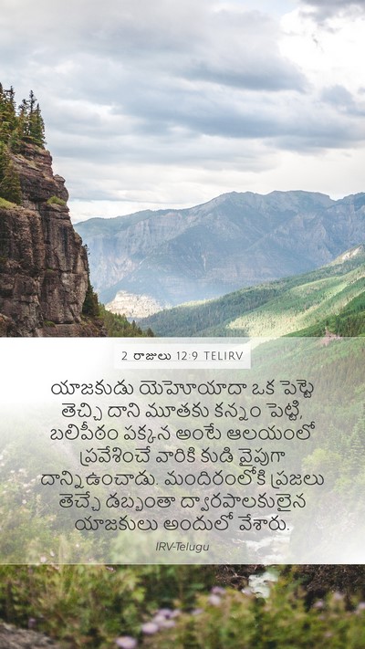 2 రాజులు 12:9 TELIRV Mobile Phone Wallpaper - యాజకుడు యెహోయాదా - Mobile Bible Verse Wallpaper