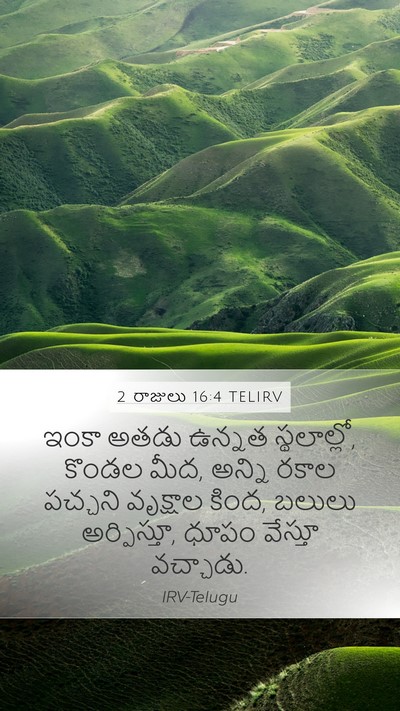 2 రాజులు 16:4 TELIRV Bible Verse Image