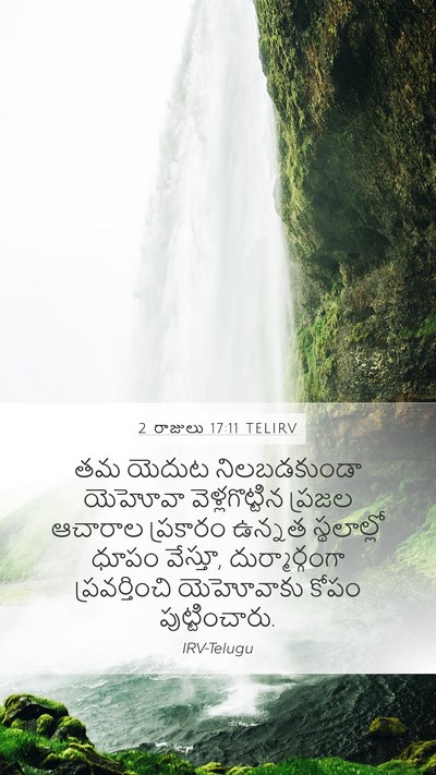 2 రాజులు 17:11 TELIRV Mobile Phone Wallpaper - తమ యెదుట - Mobile Bible Verse Wallpaper