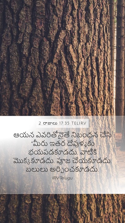 2 రాజులు 17:35 TELIRV Bible Verse Image