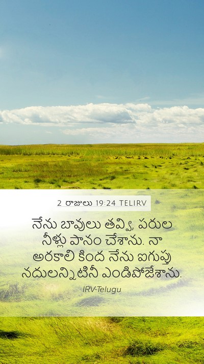 2 రాజులు 19:24 TELIRV Bible Verse Image