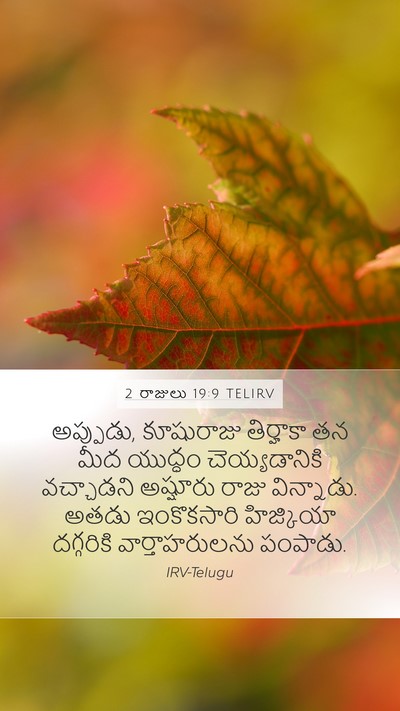 2 రాజులు 19:9 TELIRV Bible Verse Image