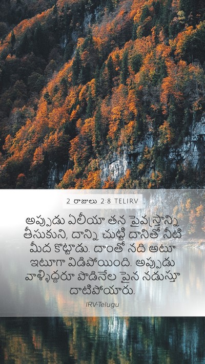 2 రాజులు 2:8 TELIRV Bible Verse Image