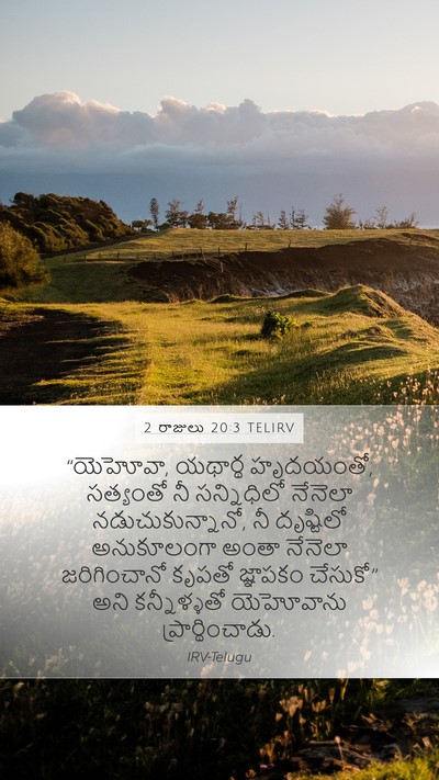 2 రాజులు 20:3 TELIRV Bible Verse Image