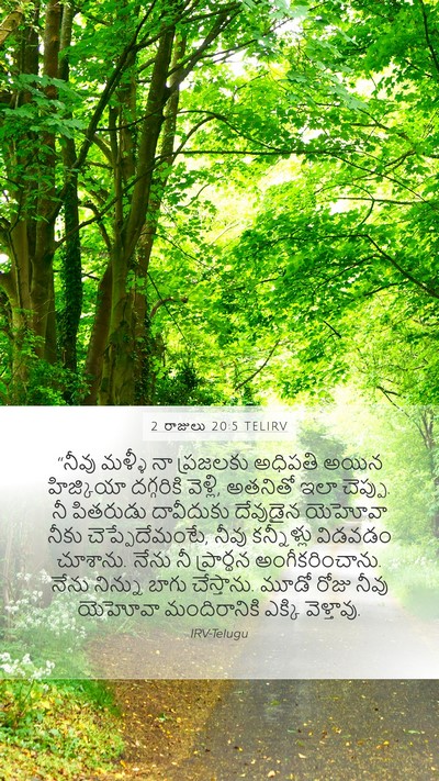 2 రాజులు 20:5 TELIRV Bible Verse Image