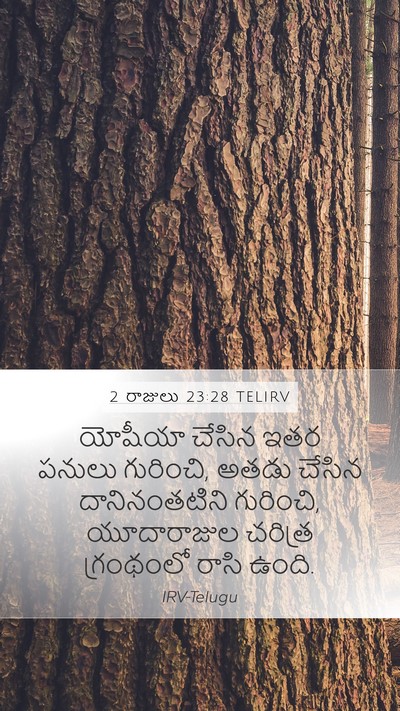 2 రాజులు 23:28 TELIRV Mobile Phone Wallpaper - యోషీయా చేసిన ఇతర - Mobile Bible Verse Wallpaper