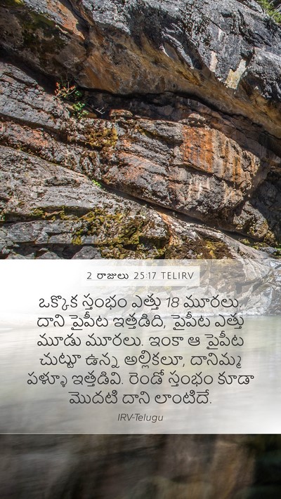 2 రాజులు 25:17 TELIRV Bible Verse Image