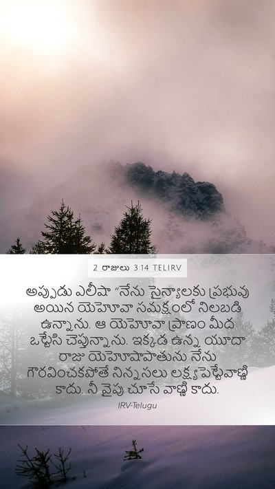 2 రాజులు 3:14 TELIRV Mobile Phone Wallpaper - అప్పుడు ఎలీషా - Mobile Bible Verse Wallpaper