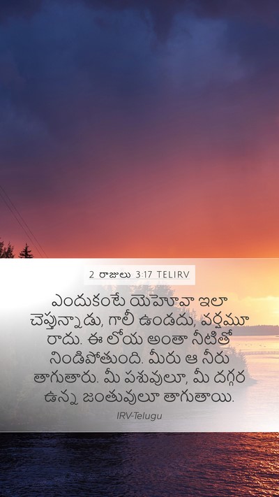 2 రాజులు 3:17 TELIRV Bible Verse Image