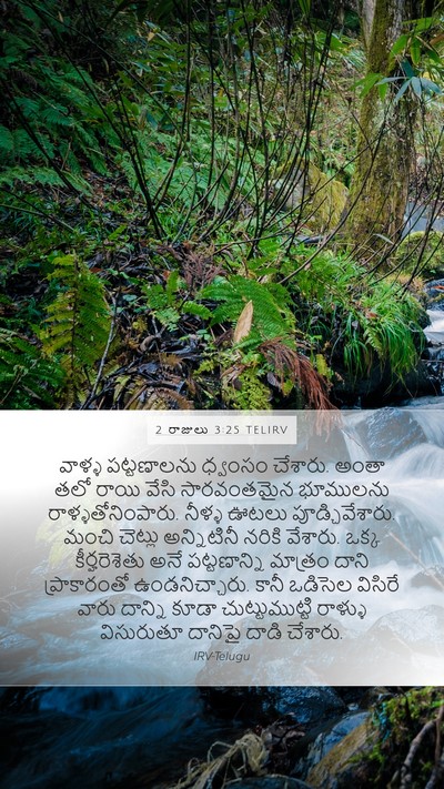 2 రాజులు 3:25 TELIRV Bible Verse Image