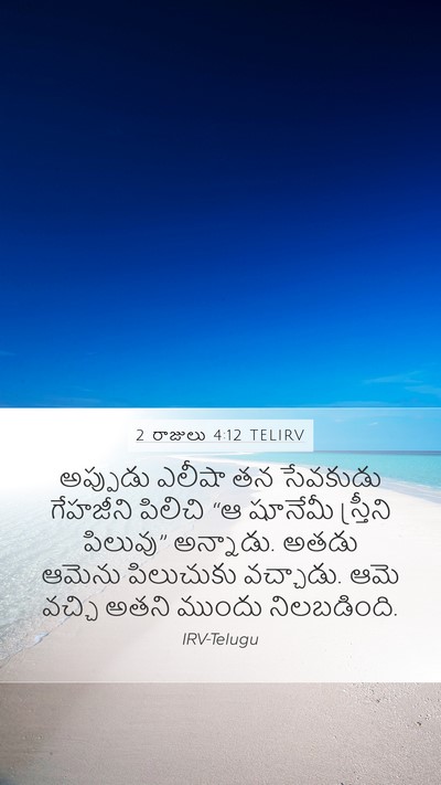 2 రాజులు 4:12 TELIRV Bible Verse Image