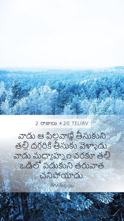 2 రాజులు 4:20 TELIRV Bible Verse Image