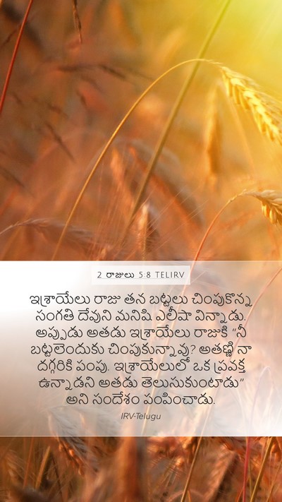 2 రాజులు 5:8 TELIRV Bible Verse Image