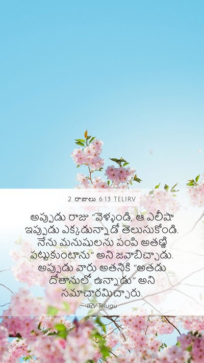 2 రాజులు 6:13 TELIRV Bible Verse Image