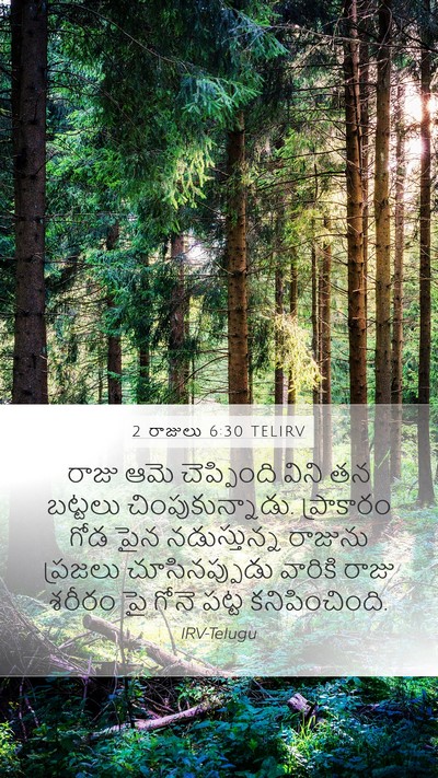 2 రాజులు 6:30 TELIRV Bible Verse Image