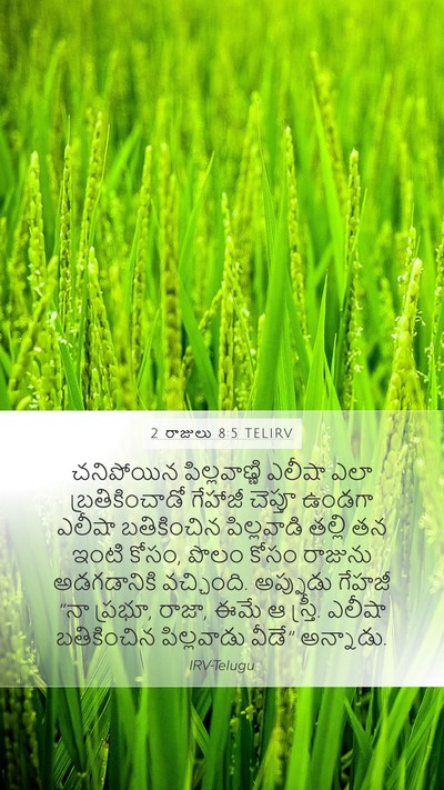 2 రాజులు 8:5 TELIRV Bible Verse Image