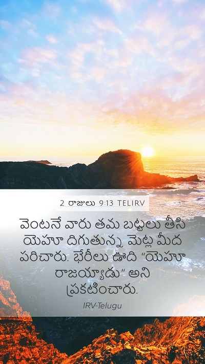 2 రాజులు 9:13 TELIRV Bible Verse Image
