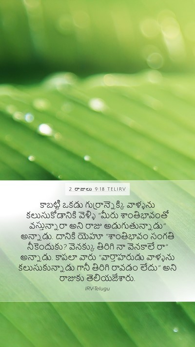 2 రాజులు 9:18 TELIRV Bible Verse Image