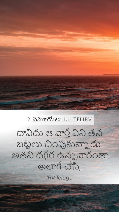 2 సమూయేలు 1:11 TELIRV Bible Verse Image