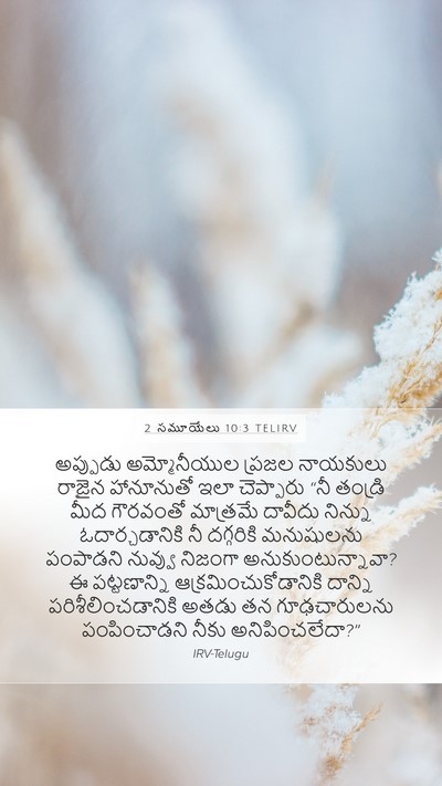 2 సమూయేలు 10:3 TELIRV Bible Verse Image