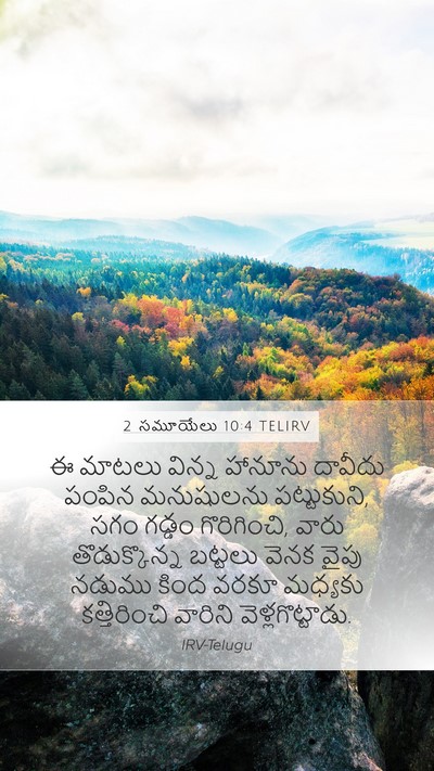 2 సమూయేలు 10:4 TELIRV Mobile Phone Wallpaper - ఈ మాటలు విన్న - Mobile Bible Verse Wallpaper