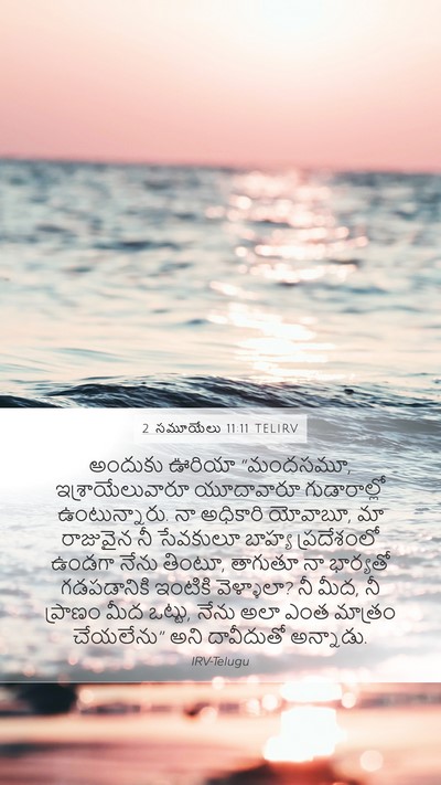 2 సమూయేలు 11:11 TELIRV Bible Verse Image