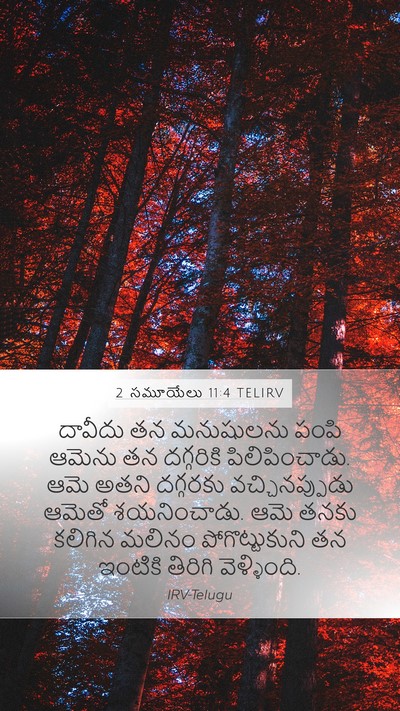 2 సమూయేలు 11:4 TELIRV Mobile Phone Wallpaper - దావీదు తన - Mobile Bible Verse Wallpaper