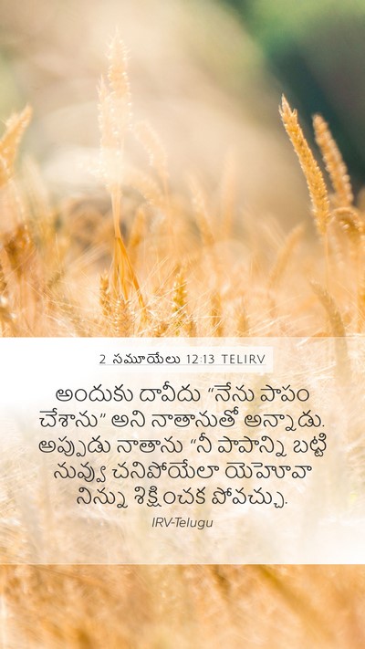 2 సమూయేలు 12:13 TELIRV Bible Verse Image