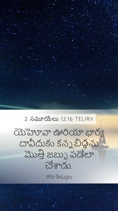 2 సమూయేలు 12:16 TELIRV Bible Verse Image