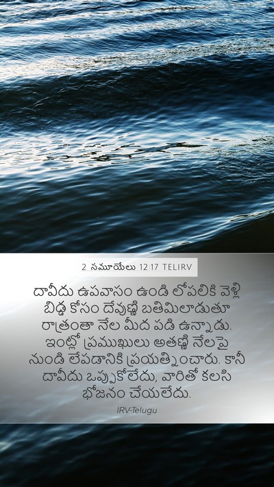 2 సమూయేలు 12:17 TELIRV Bible Verse Image