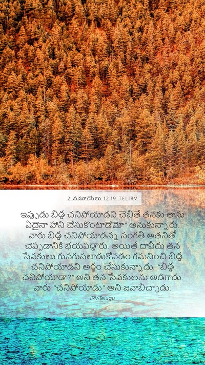 2 సమూయేలు 12:19 TELIRV Bible Verse Image