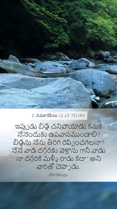 2 సమూయేలు 12:23 TELIRV Mobile Phone Wallpaper - ఇప్పుడు బిడ్డ - Mobile Bible Verse Wallpaper