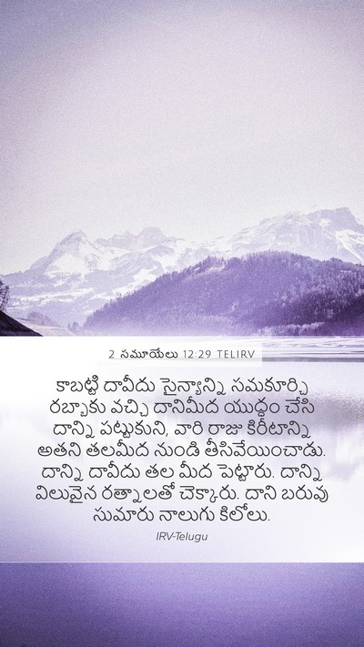 2 సమూయేలు 12:29 TELIRV Bible Verse Image