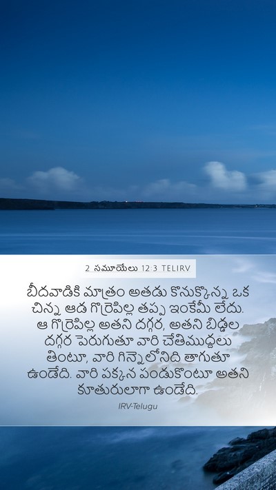 2 సమూయేలు 12:3 TELIRV Mobile Phone Wallpaper - బీదవాడికి మాత్రం - Mobile Bible Verse Wallpaper