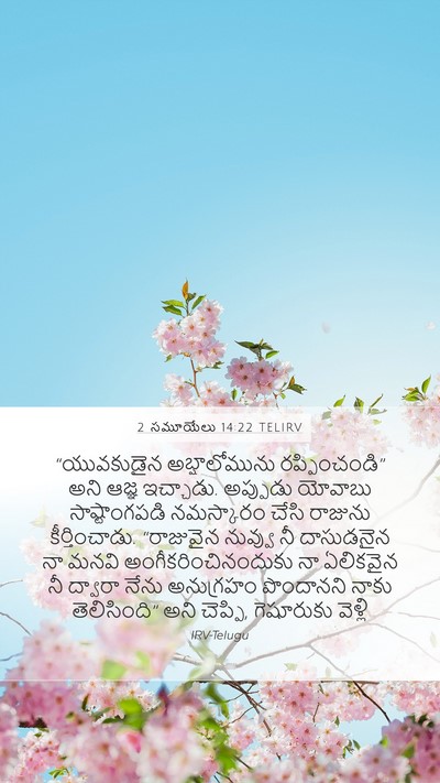 2 సమూయేలు 14:22 TELIRV Bible Verse Image