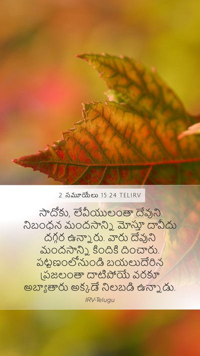 2 సమూయేలు 15:24 TELIRV Bible Verse Image