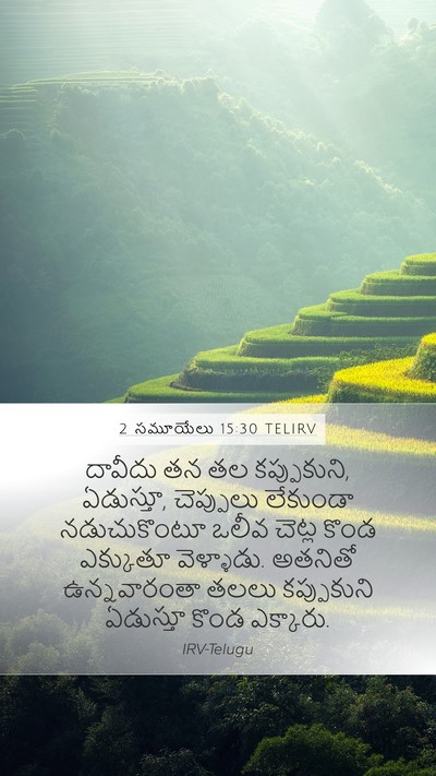 2 సమూయేలు 15:30 TELIRV Bible Verse Image