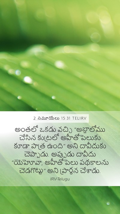2 సమూయేలు 15:31 TELIRV Mobile Phone Wallpaper - అంతలో ఒకడు వచ్చి - Mobile Bible Verse Wallpaper