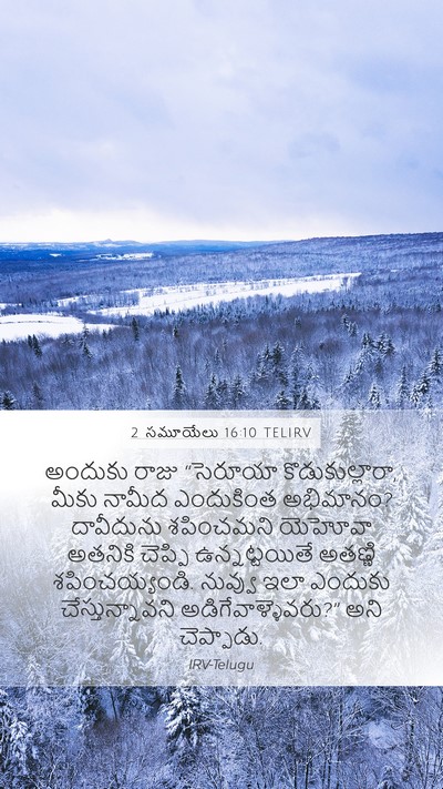 2 సమూయేలు 16:10 TELIRV Bible Verse Image